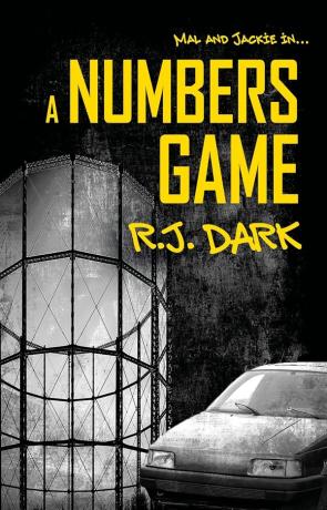 A Numbers Game, a novel by R J Dark