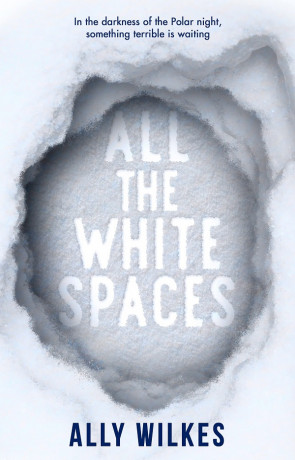 All the White Spaces, a novel by Ally Wilkes
