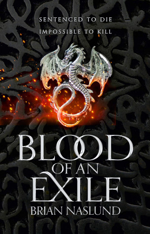 Blood of an exile, a novel by Brian Naslund