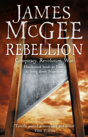 Rebellion, a novel by James McGee