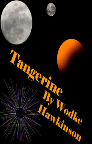 Tangerine, a novel by Wodke Hawkinson