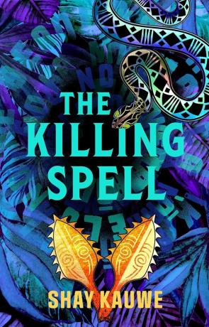 The Killing Spell, a novel by Shay Kauwe