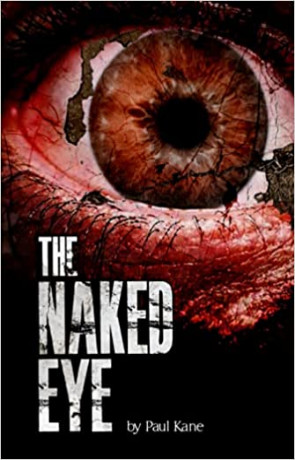 The Naked eye, a novel by Paul Kane