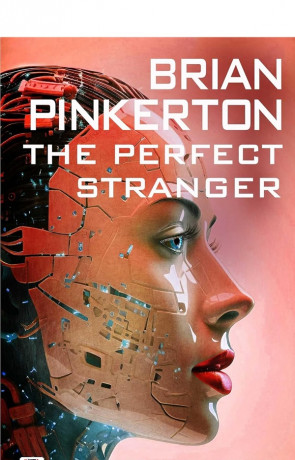 The Perfect Stranger, a novel by Brian Pinkerton