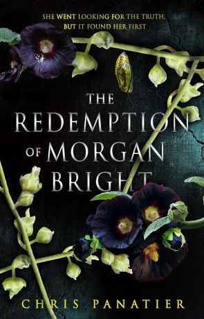 The Redemption of Morgan Bright, a novel by Chris Panatier