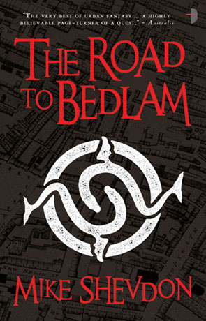 The Road to Bedlam, a novel by Mike Shevdon