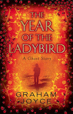 The Year of the Ladybird, a novel by Graham Joyce