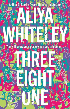 Three Eight One, a novel by Aliya Whiteley