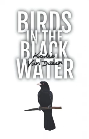 Birds in the Black Water, a novel by Kodie Van Dusen