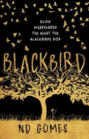 Blackbird, a novel by ND Gomes